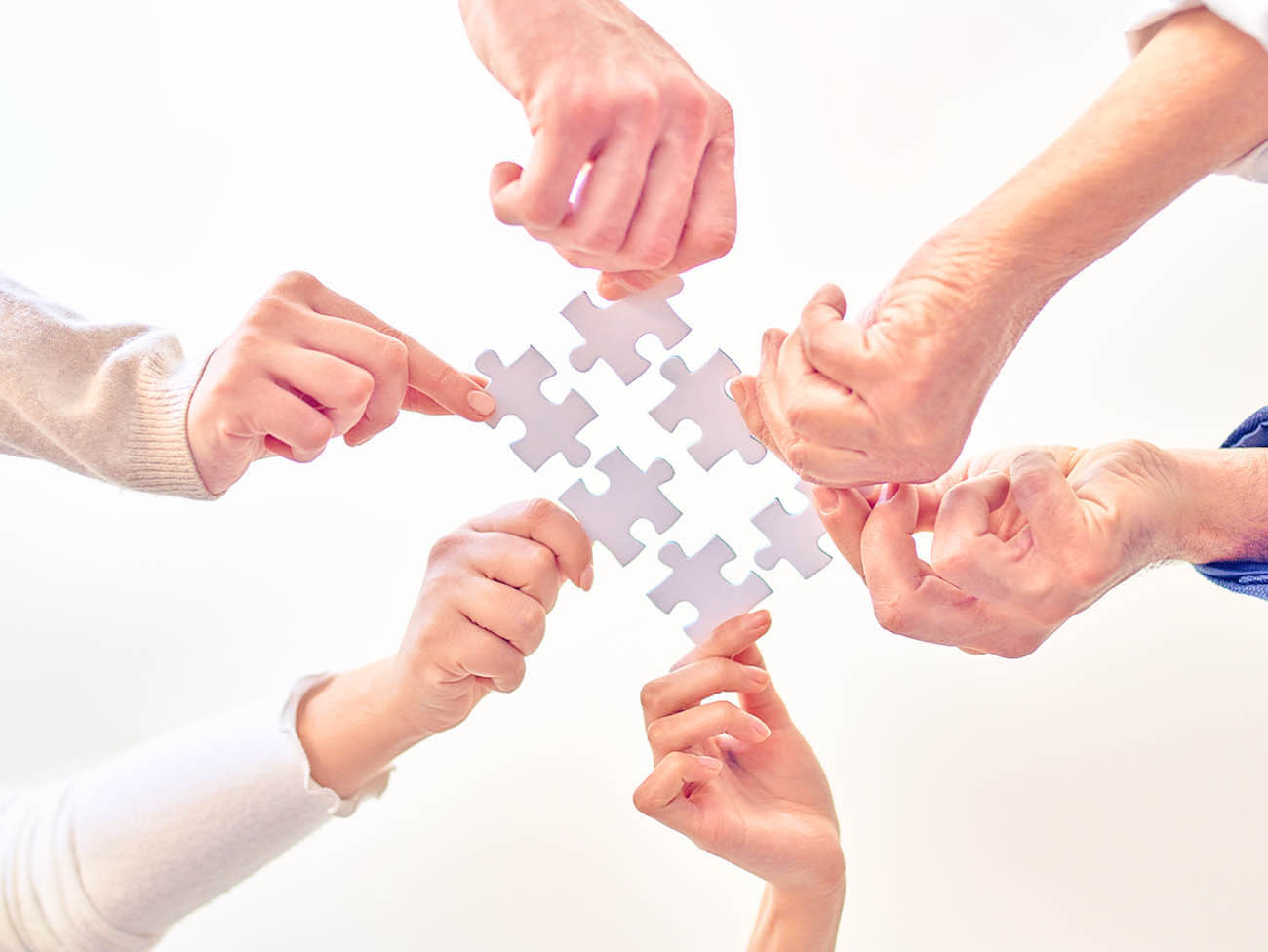 社会貢献活動画像